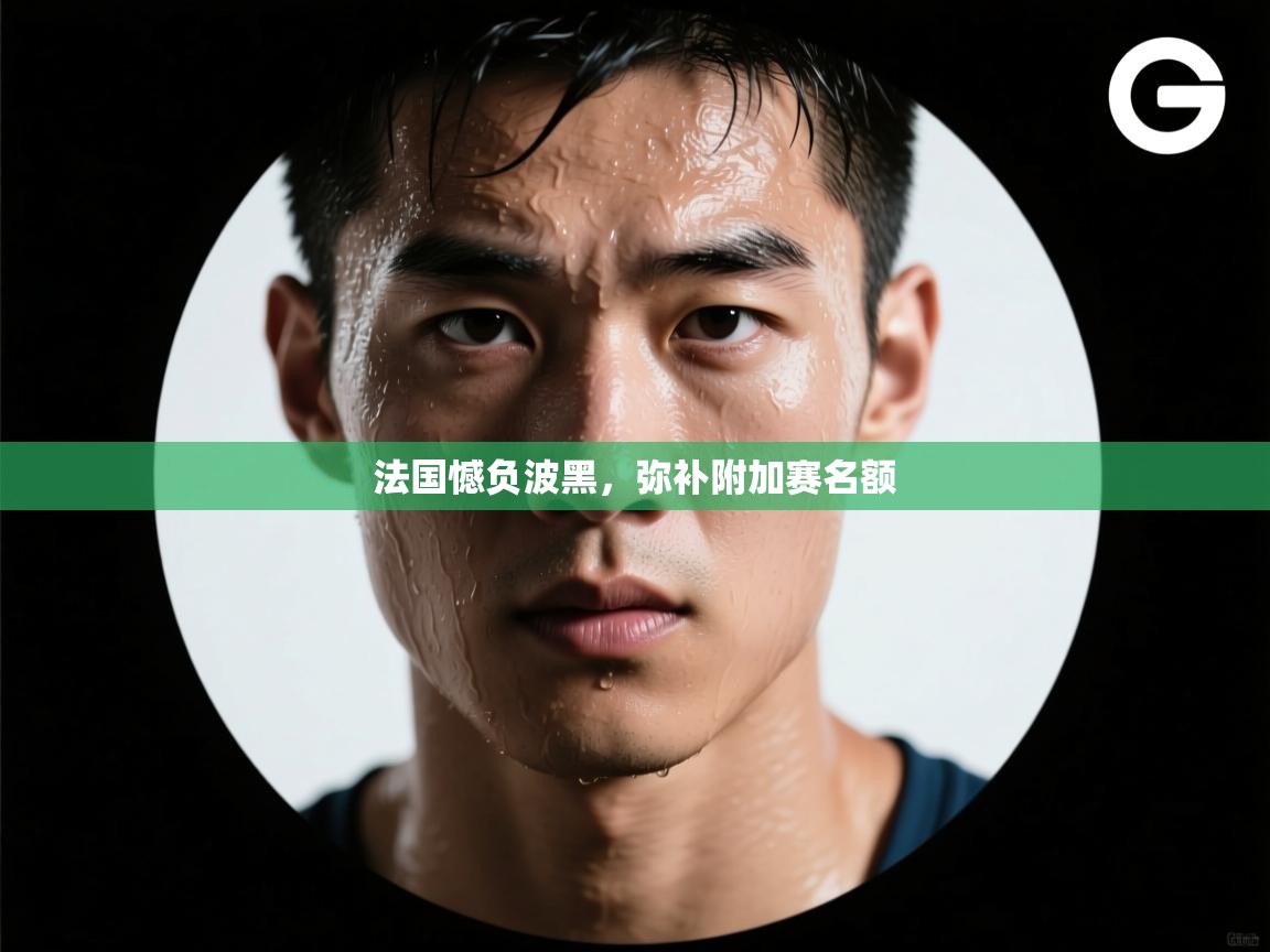 开云体育-法国憾负波黑,弥补附加赛名额